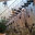 ARCHENON DESIGN & CONSTRUCT
