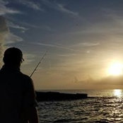 Brent Holt's photo