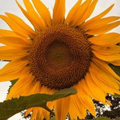 Jennifer Berman's photo