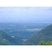 Chris Benefield's photo