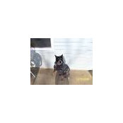 Mary Rook's photo
