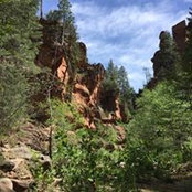 Beth George Schorr's photo