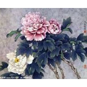 Qiqi Cat's photo
