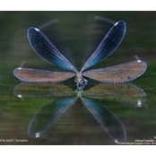 Mara Márkus's photo