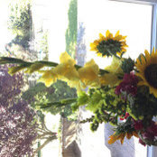 Nina Laight's photo