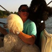 Mark Goldman's photo
