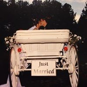 Lisa Wall's photo