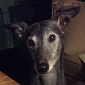 Paula Goodwin's photo
