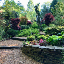 Landscape Ideas
