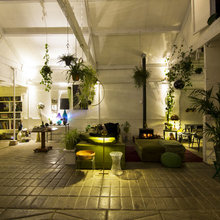 plants