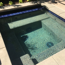 Pool And Backyard