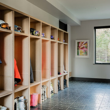Modern Ski House