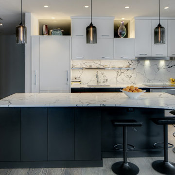 Modern Condo Remodel