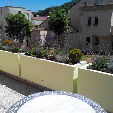 Les jardinières du Soleil