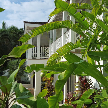 Maui Pualoa Nani