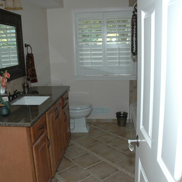 Full Hall Bathroom Remodel