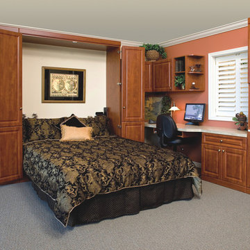 Murphy bed with bi-fold doors can be used as an office, bedroom or media room!
