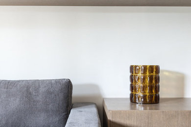 Design ideas for a modern living room in Paris.