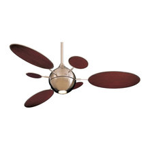 Ceiling Fans