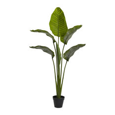 64" Travellers Palm Tree UV Resistant, Indoor/Outdoor