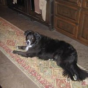 Jackie Dorsey's photo