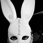 Photo de Joseph Quinn