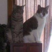 Toni Loup Shearer's photo