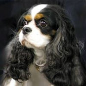 Adrianne Jaski's photo