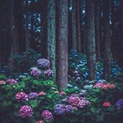 Nhi Trương's photo