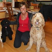 Karen Seiferling's photo