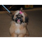 Ann Morrell's photo