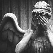 Sarah Buchmann's photo