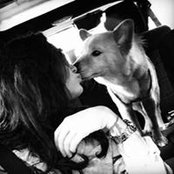 Andee Grace's photo