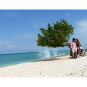 Esteban Gasser's photo