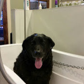 Dalys O'Connor's photo