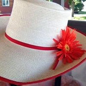 Lynn Ahern's photo