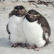 Aileen Mcculloch's photo