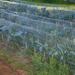 Lawn and Garden Cages - Products