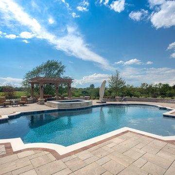 Elgin, IL Roman End Pool with Freeform Hot Tub