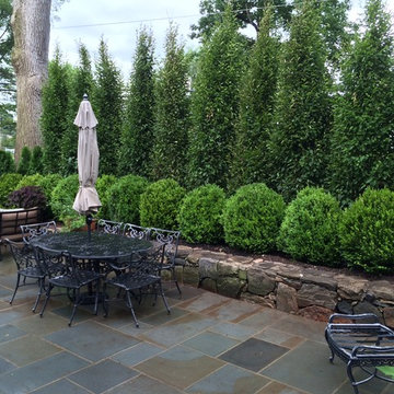 English Boxwood design