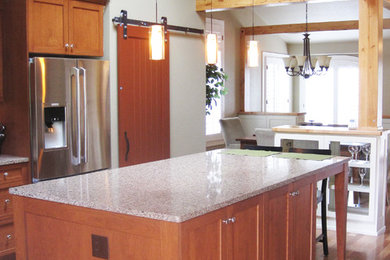 Kitchen - contemporary kitchen idea in Denver