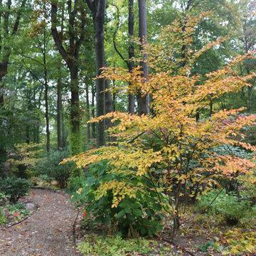 Residential Landscape Maintenance