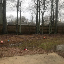Brandon's Backyard