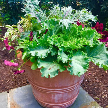 Spring Container Garden Design