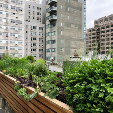 East Village Terrace