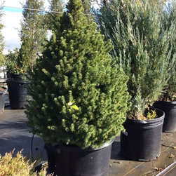 Inventory Samples - Gardening And Lawn Care