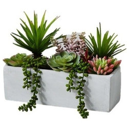 Contemporary Artificial Plants And Trees by Serene Spaces Living
