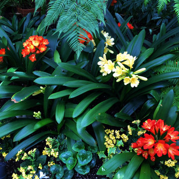 Shady Side Yard