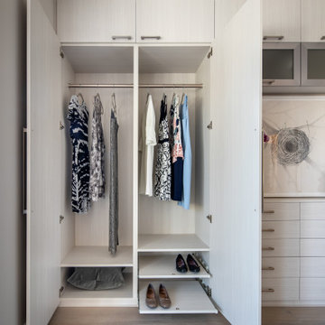 Elegant Space-Saving External Wardrobe with Media Alcove