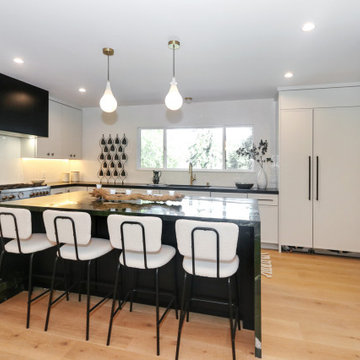 Stylish Mid-Century Modern